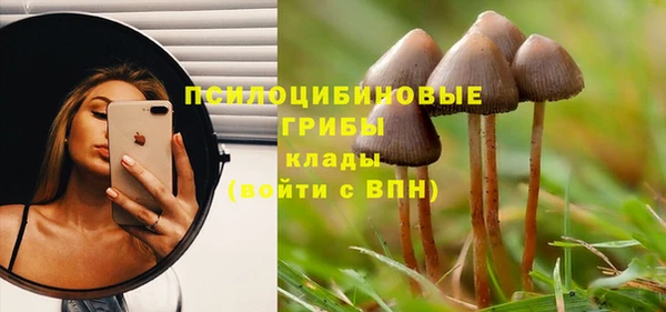 мдма Белокуриха