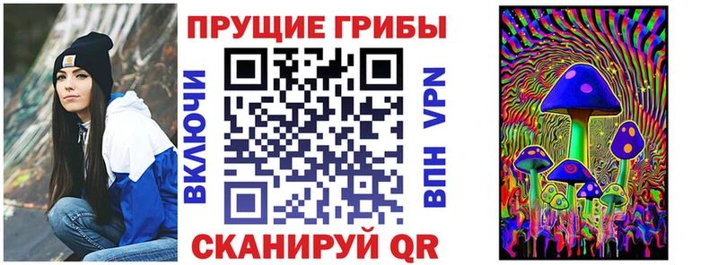 Купить где  Медногорск  Псилоцибиновые грибы GOLDEN TEACHER 